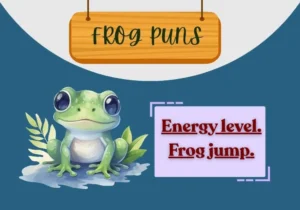 Frog Puns