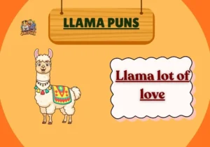 Llama Puns