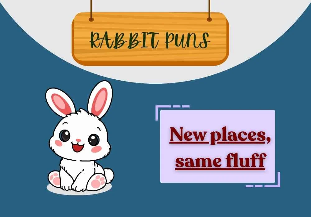 Rabbit Puns