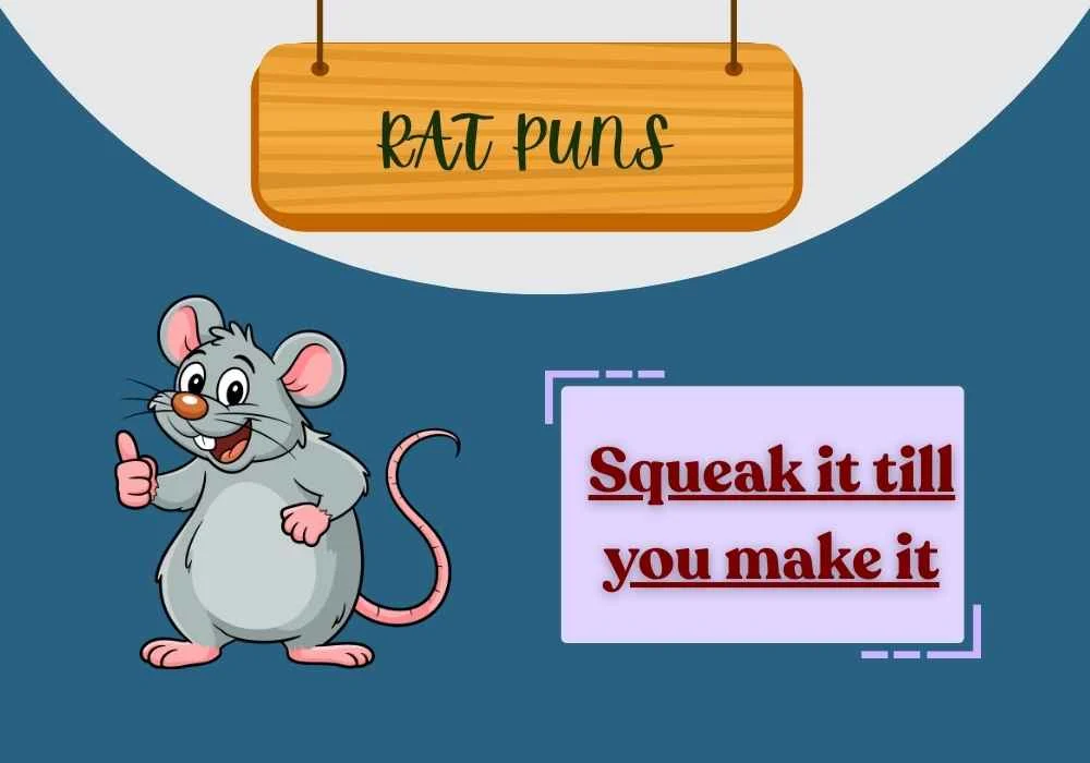 Rat Puns