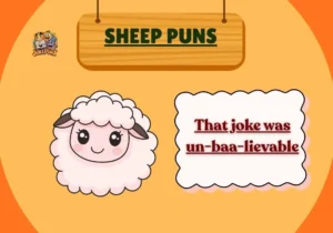 Sheep Puns