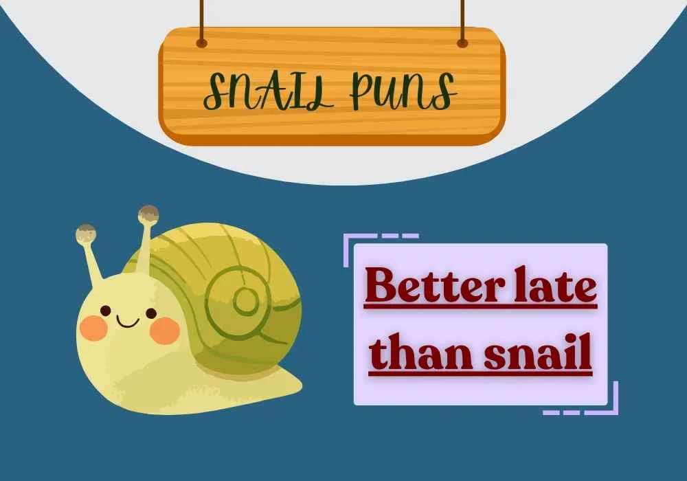 Snail Puns