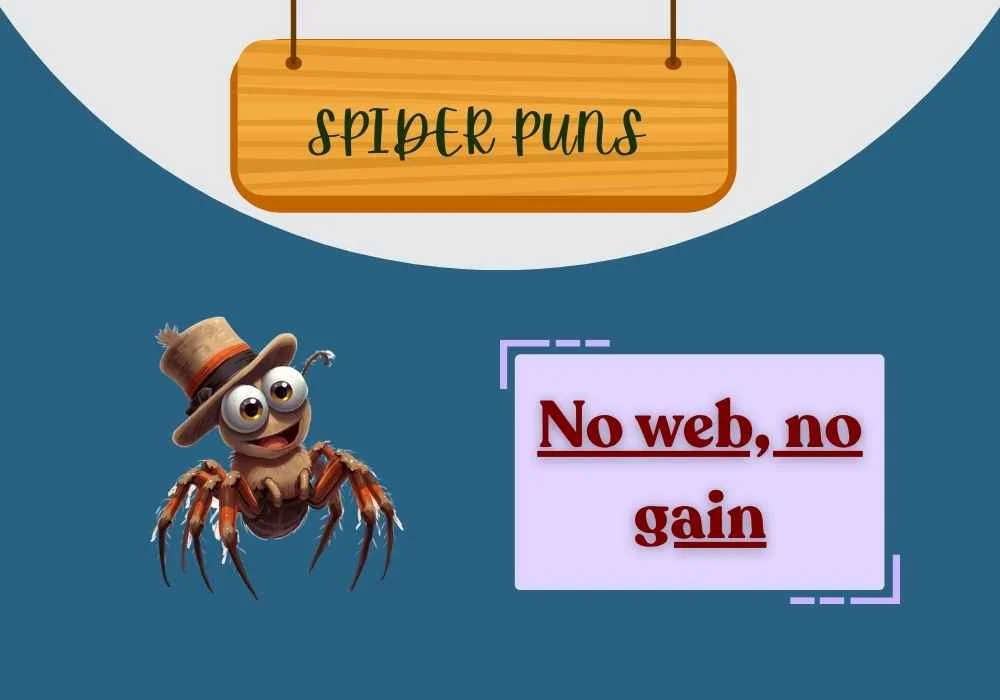 Spider Puns