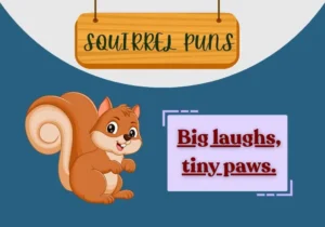 Squrrel Puns