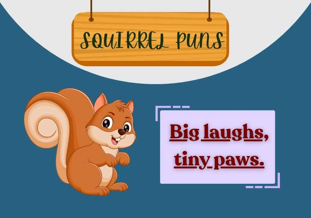 Squrrel Puns