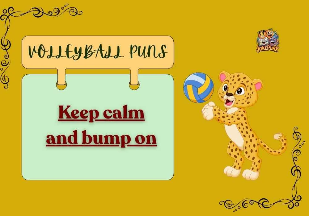 Volleyball Puns