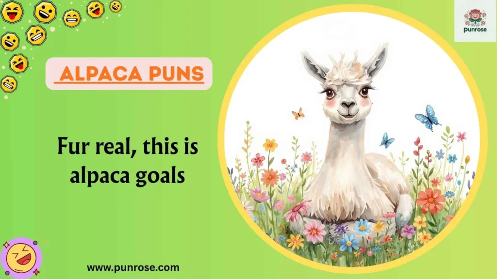Alpaca Puns